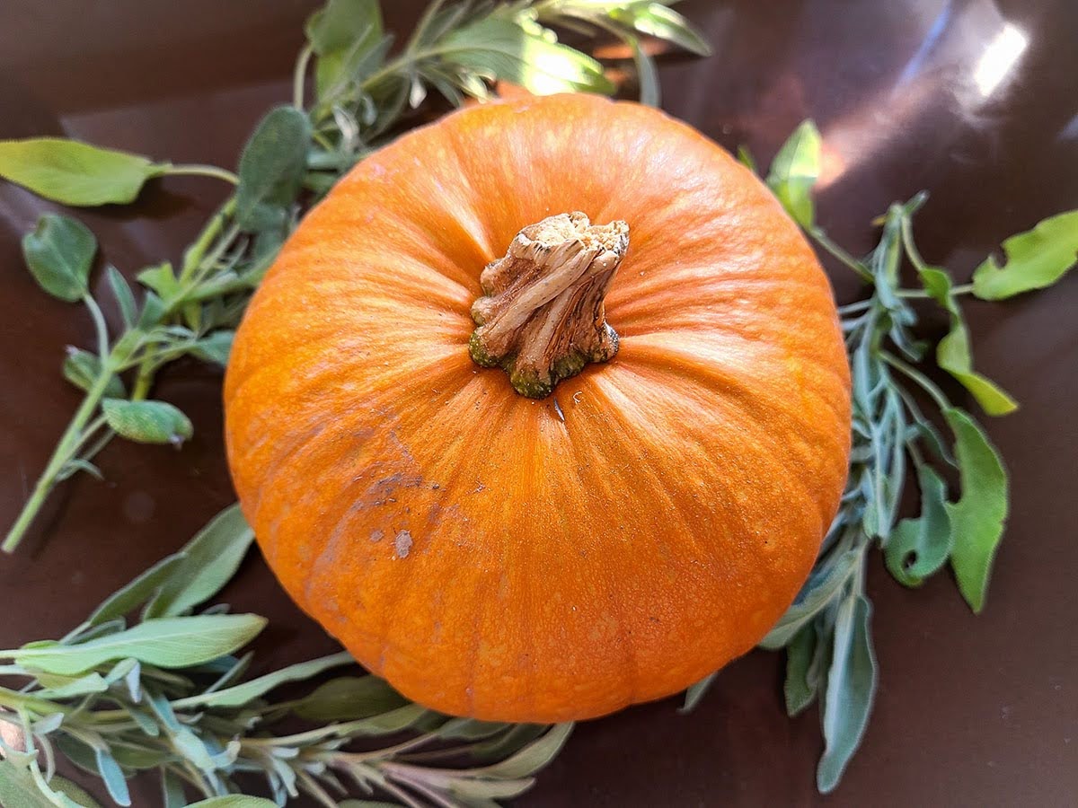 pumpkin-and-fresh-sage