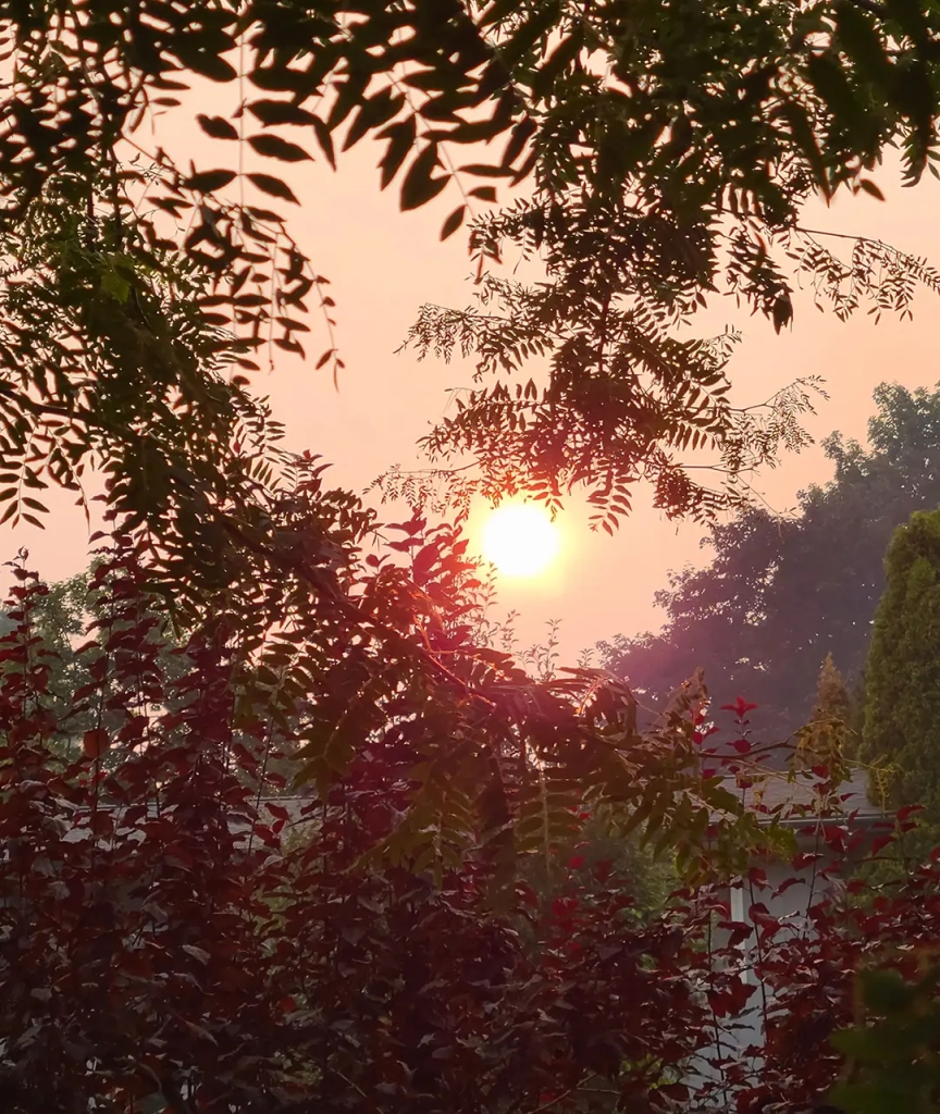 Smoky-Sunset
